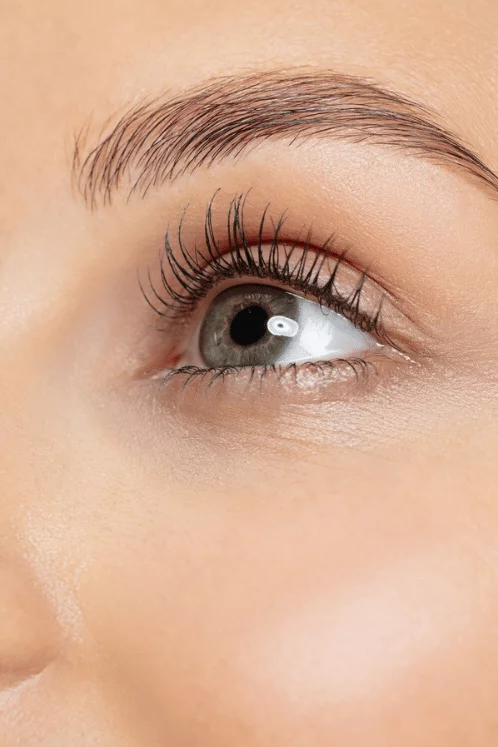 apa itu lash lift