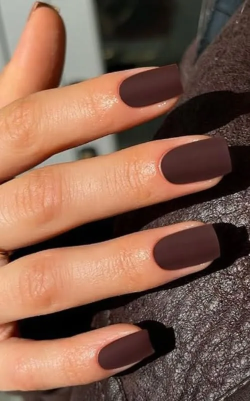 Ide desain nail art cokelat simple